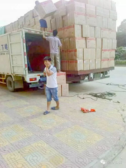 高州市環(huán)華裝卸服務部 以專業(yè)搬運裝卸與一流打包服務，樹立行業(yè)標桿